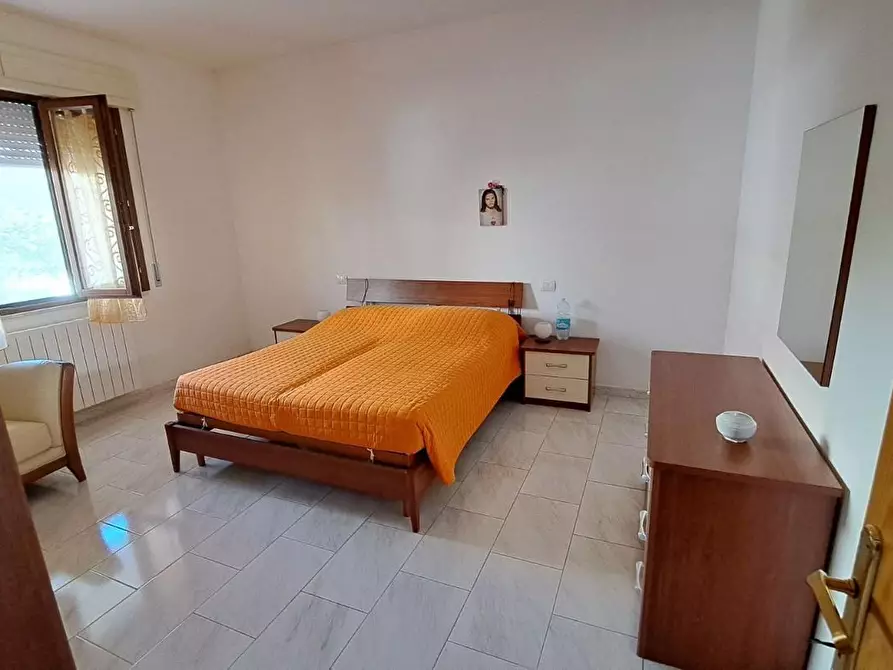 Immagine 11 di Terratetto in vendita  a Rosignano Marittimo