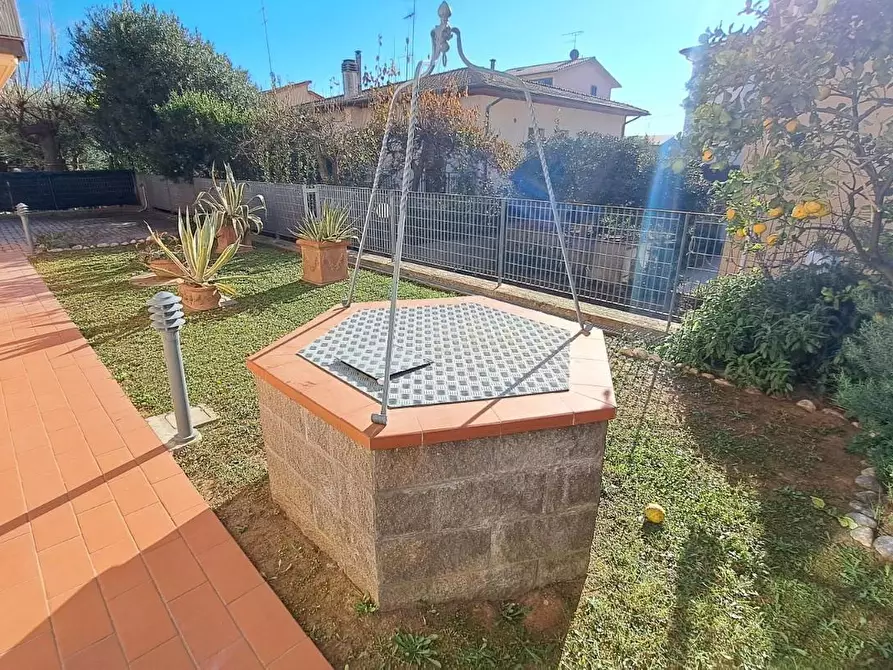 Immagine 23 di Terratetto in vendita  a Rosignano Marittimo