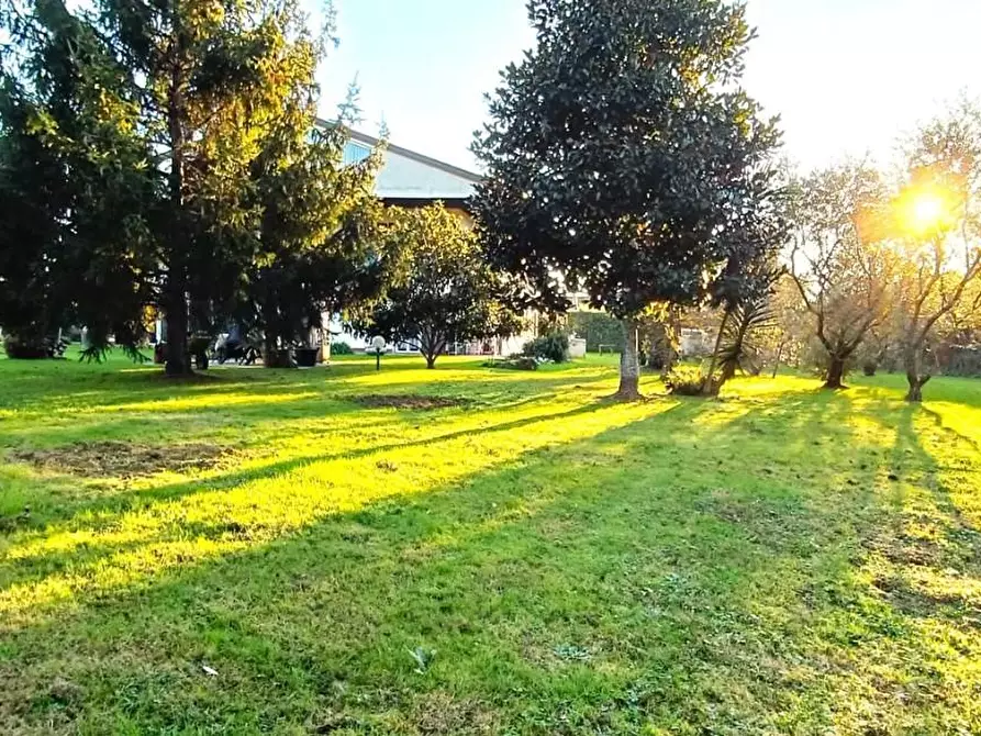 Immagine 6 di Villa in vendita  a Montignoso