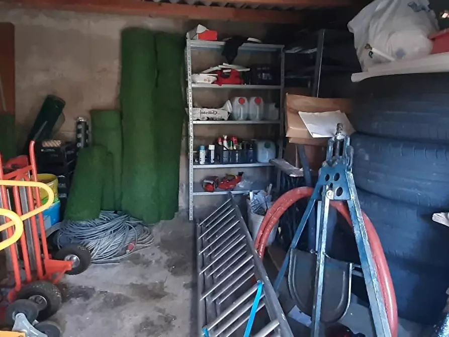 Immagine 17 di Appartamento in vendita  a Cecina