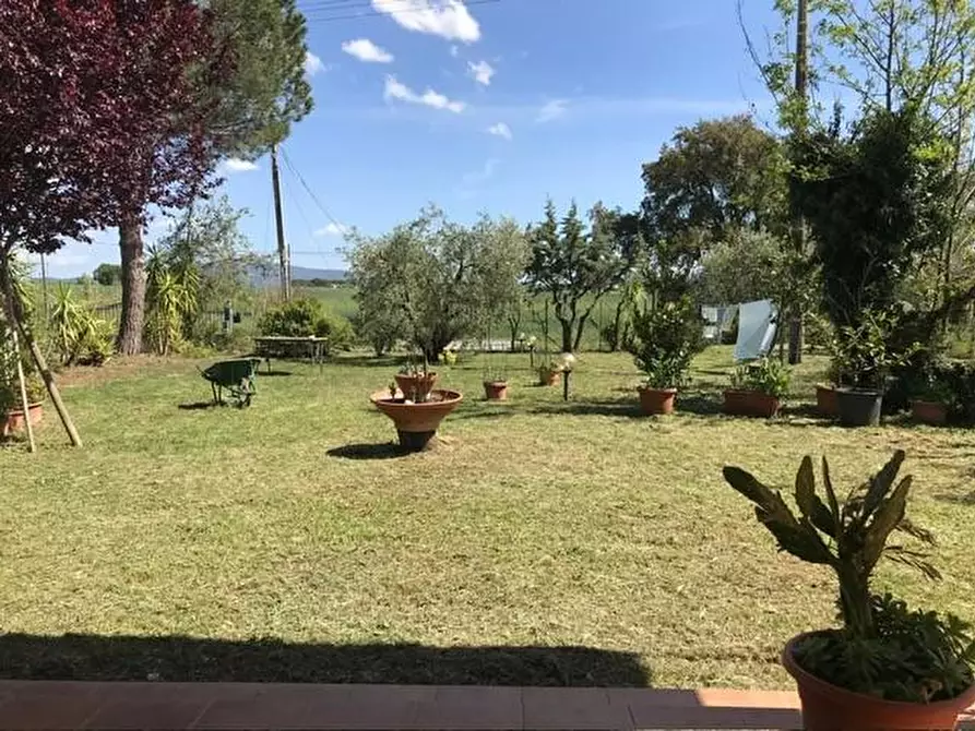 Immagine 7 di Casa colonica in vendita  a Roccastrada