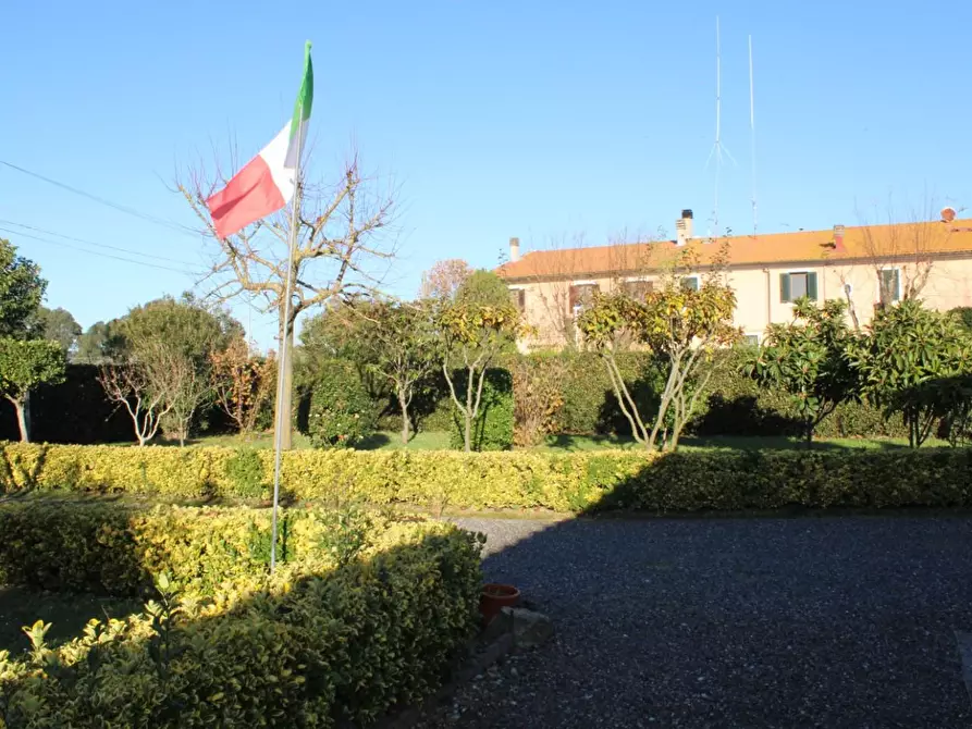 Immagine 9 di Villa in vendita  a Fauglia