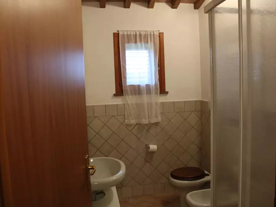 Immagine 33 di Villa in vendita  a Fauglia