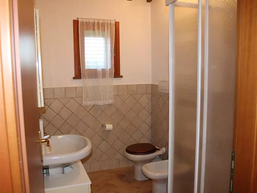 Immagine 13 di Villa in vendita  a Fauglia