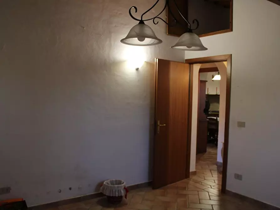 Immagine 30 di Villa in vendita  a Fauglia