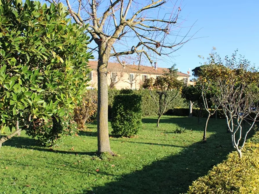 Immagine 7 di Villa in vendita  a Fauglia