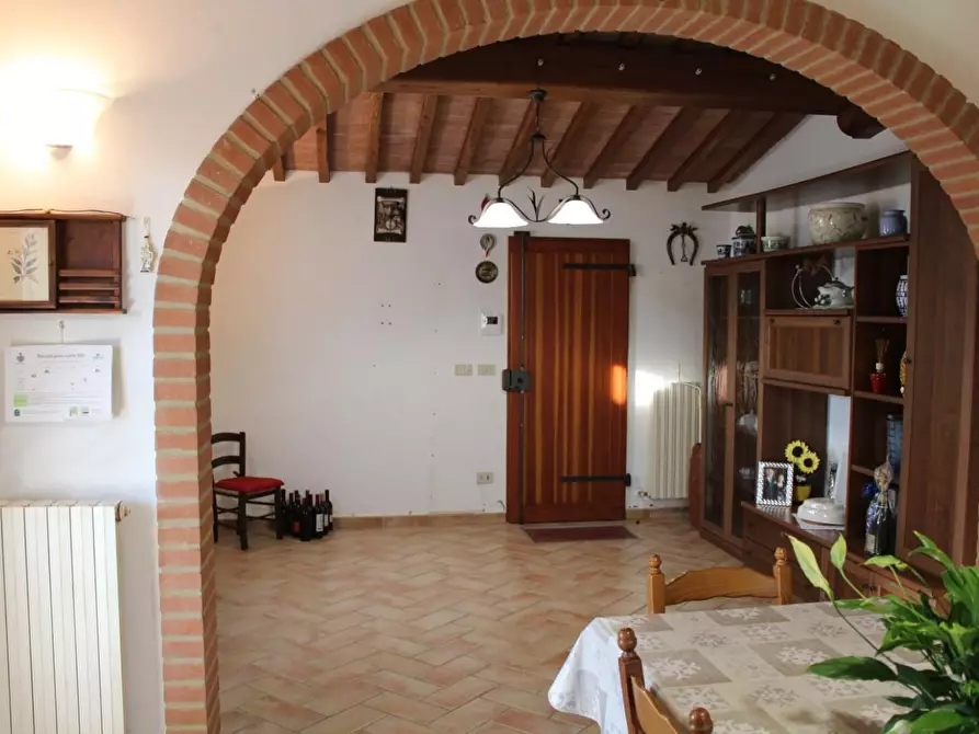 Immagine 34 di Villa in vendita  a Fauglia