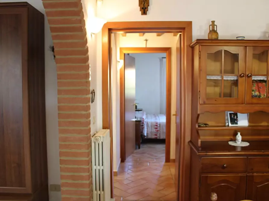 Immagine 17 di Villa in vendita  a Fauglia