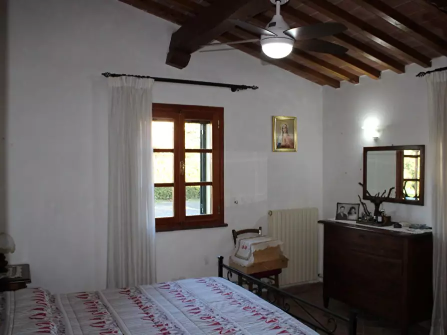 Immagine 26 di Villa in vendita  a Fauglia