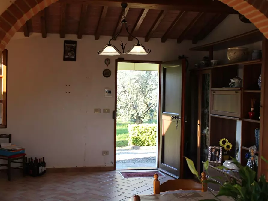 Immagine 24 di Villa in vendita  a Fauglia