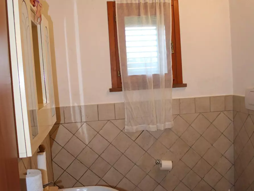 Immagine 14 di Villa in vendita  a Fauglia