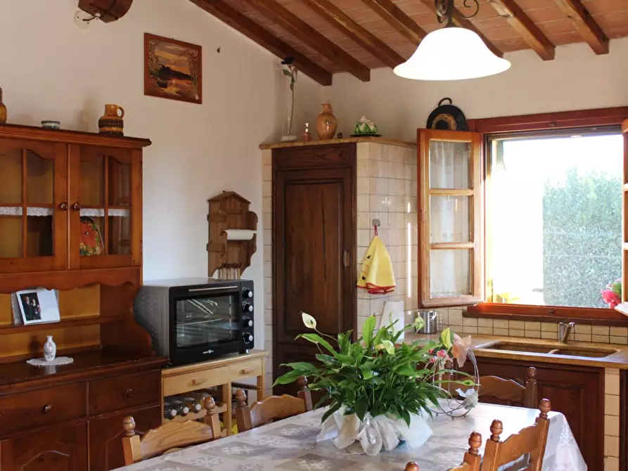 Immagine 23 di Villa in vendita  a Fauglia