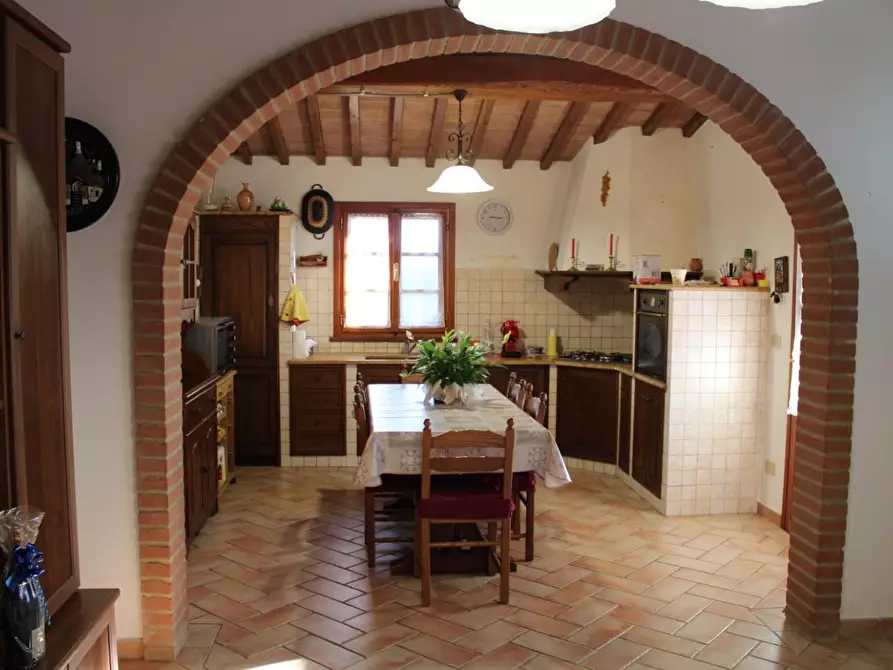 Immagine 11 di Villa in vendita  a Fauglia