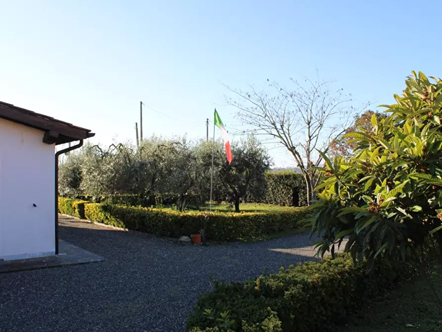 Immagine 3 di Villa in vendita  a Fauglia