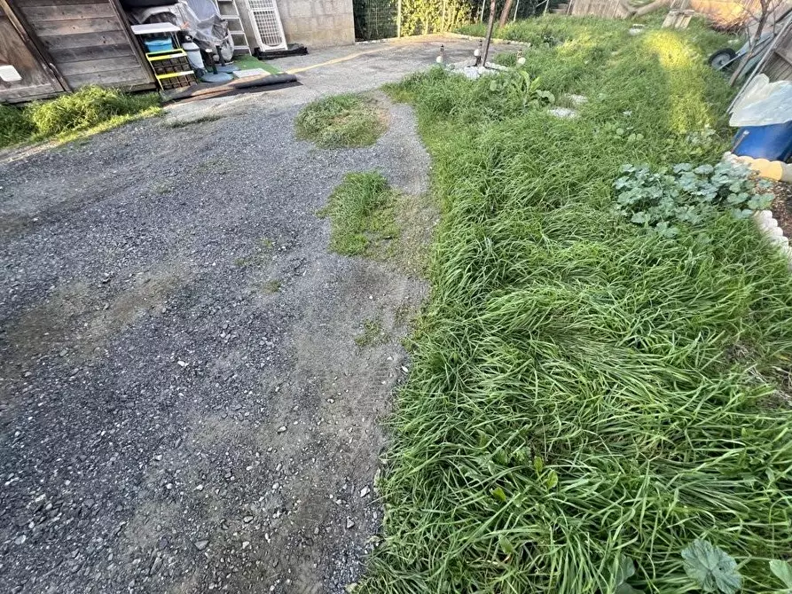 Immagine 20 di Appartamento in vendita  a Cecina