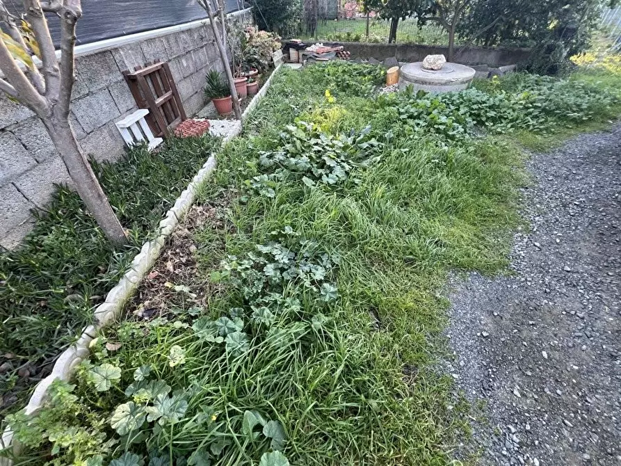 Immagine 21 di Appartamento in vendita  a Cecina