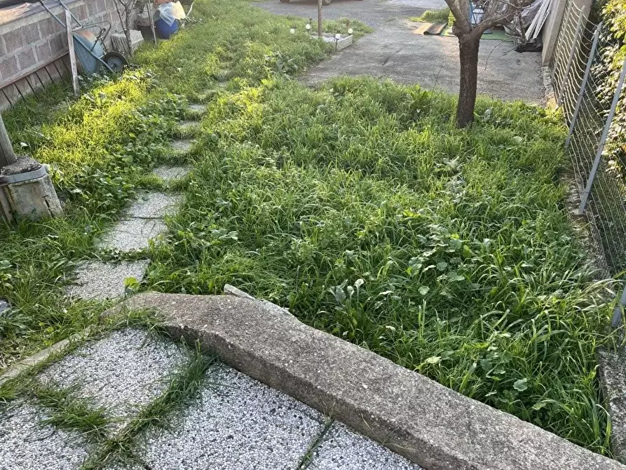 Immagine 22 di Appartamento in vendita  a Cecina