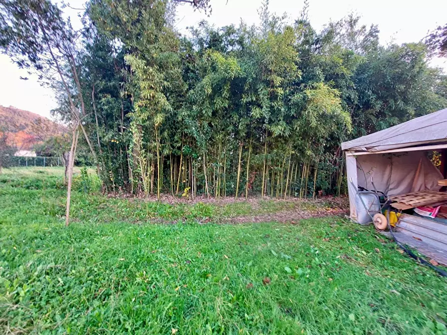 Immagine 10 di Villa in vendita  a Massarosa