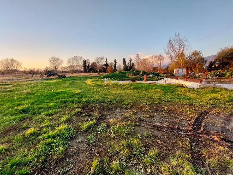 Immagine 30 di Villa in vendita  a Massarosa