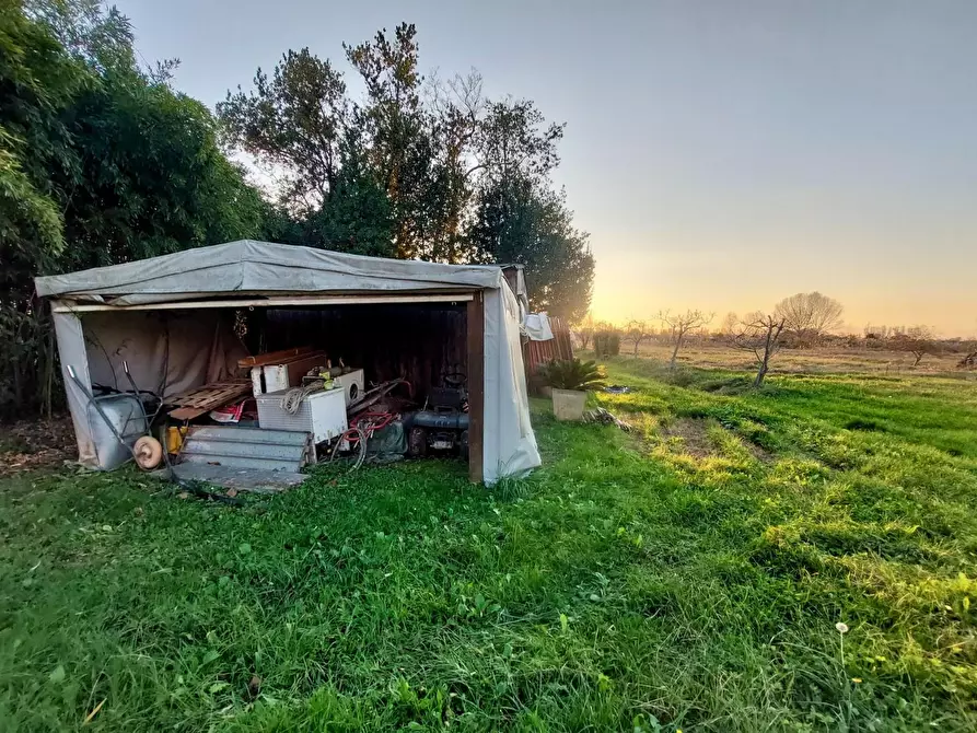 Immagine 11 di Villa in vendita  a Massarosa