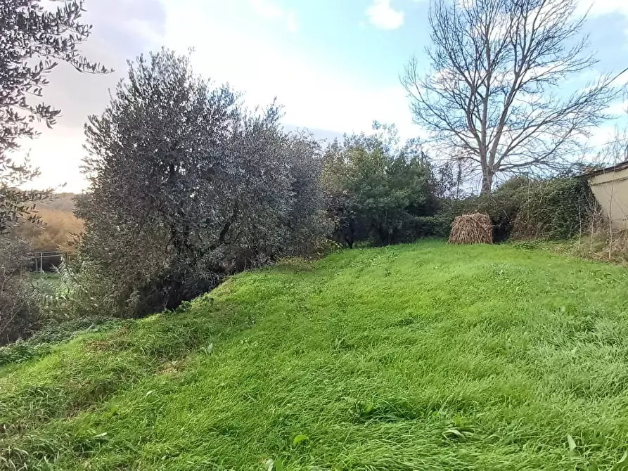 Immagine 10 di Porzione di casa in vendita  a Santa Maria A Monte