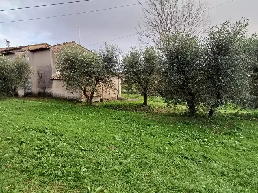 Immagine 5 di Porzione di casa in vendita  a Santa Maria A Monte