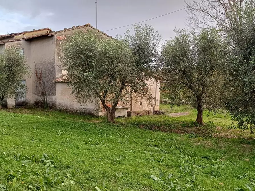 Immagine 6 di Porzione di casa in vendita  a Santa Maria A Monte