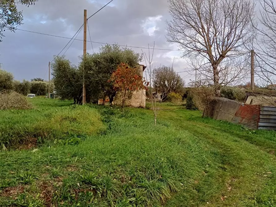 Immagine 11 di Porzione di casa in vendita  a Santa Maria A Monte