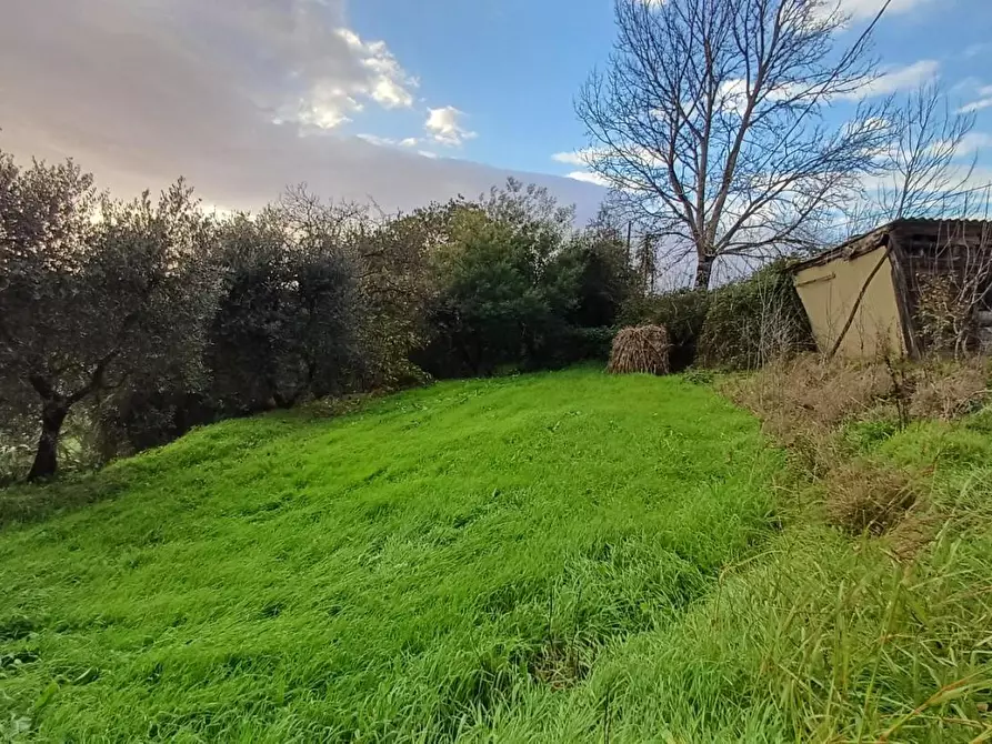 Immagine 9 di Porzione di casa in vendita  a Santa Maria A Monte