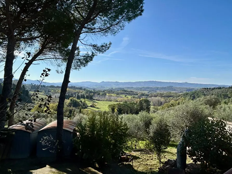 Immagine 6 di Casa indipendente in vendita  a Peccioli