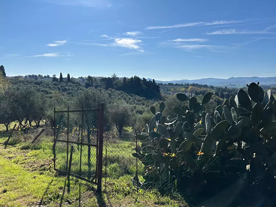 Immagine 12 di Casa indipendente in vendita  a Peccioli