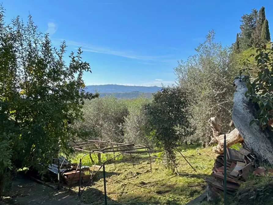 Immagine 5 di Casa indipendente in vendita  a Peccioli