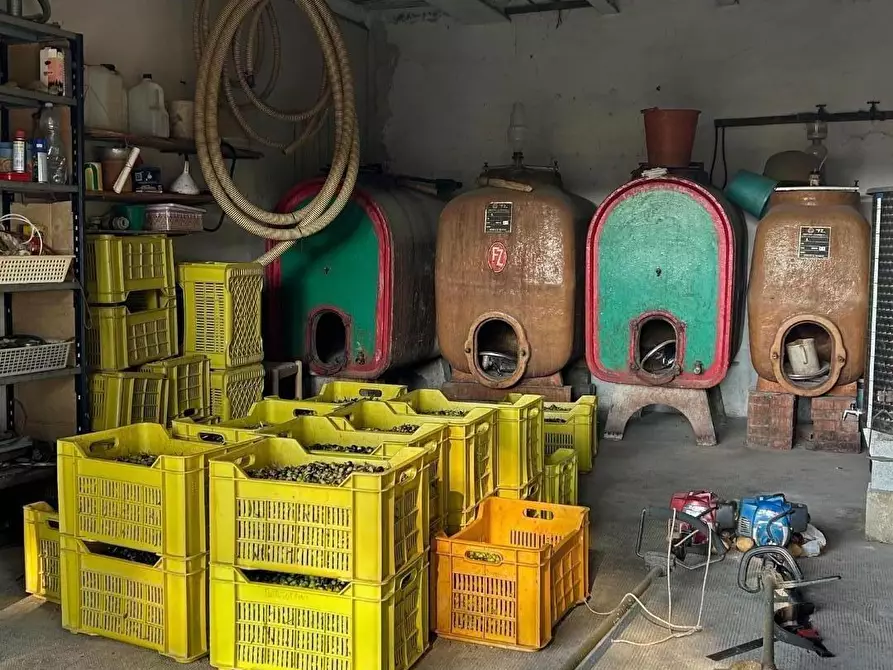 Immagine 34 di Casa indipendente in vendita  a Peccioli