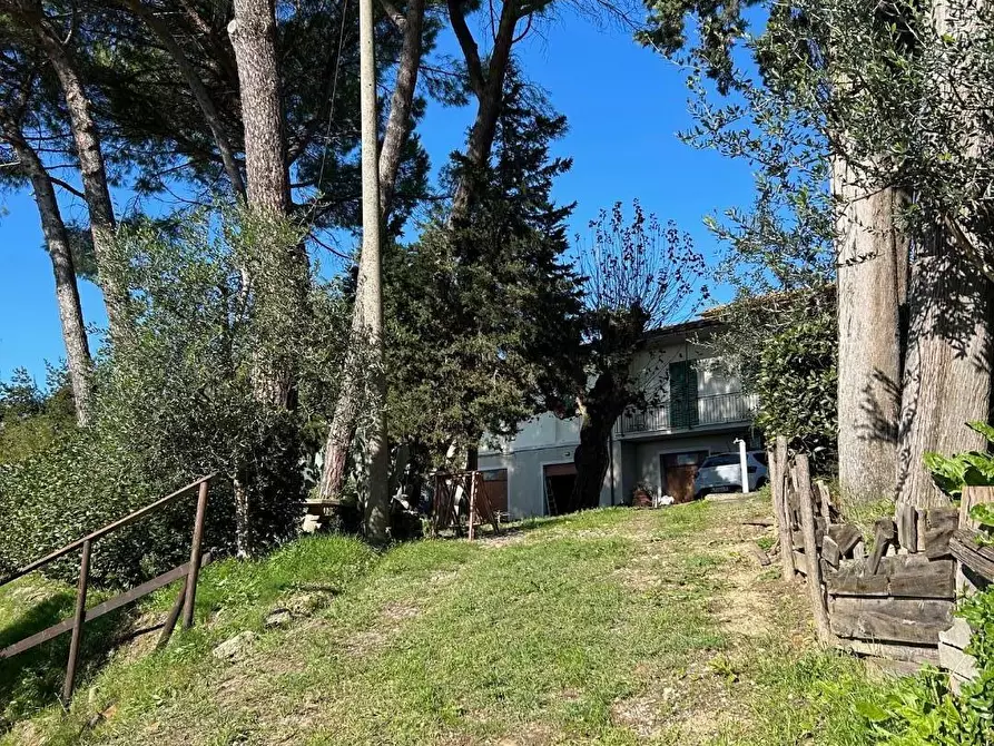 Immagine 4 di Casa indipendente in vendita  a Peccioli