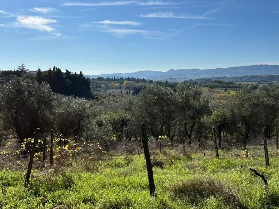 Immagine 7 di Casa indipendente in vendita  a Peccioli