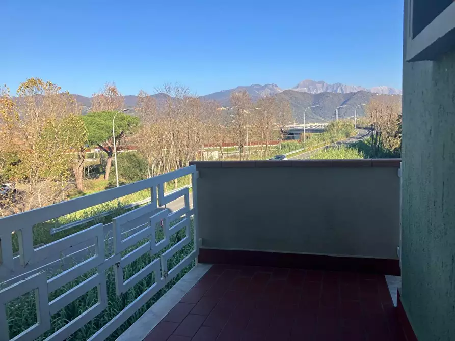 Immagine 17 di Appartamento in vendita  a Ortonovo