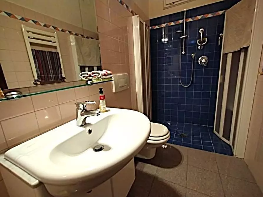 Immagine 16 di Appartamento in vendita  a Lucca