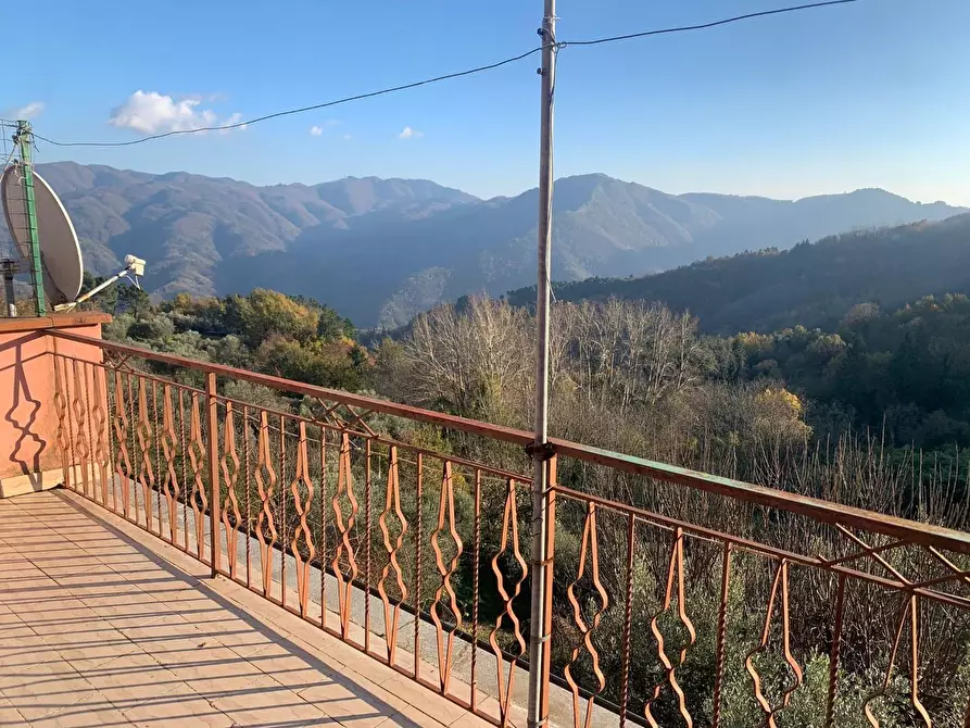 Immagine 1 di Terratetto in vendita  a Borgo A Mozzano