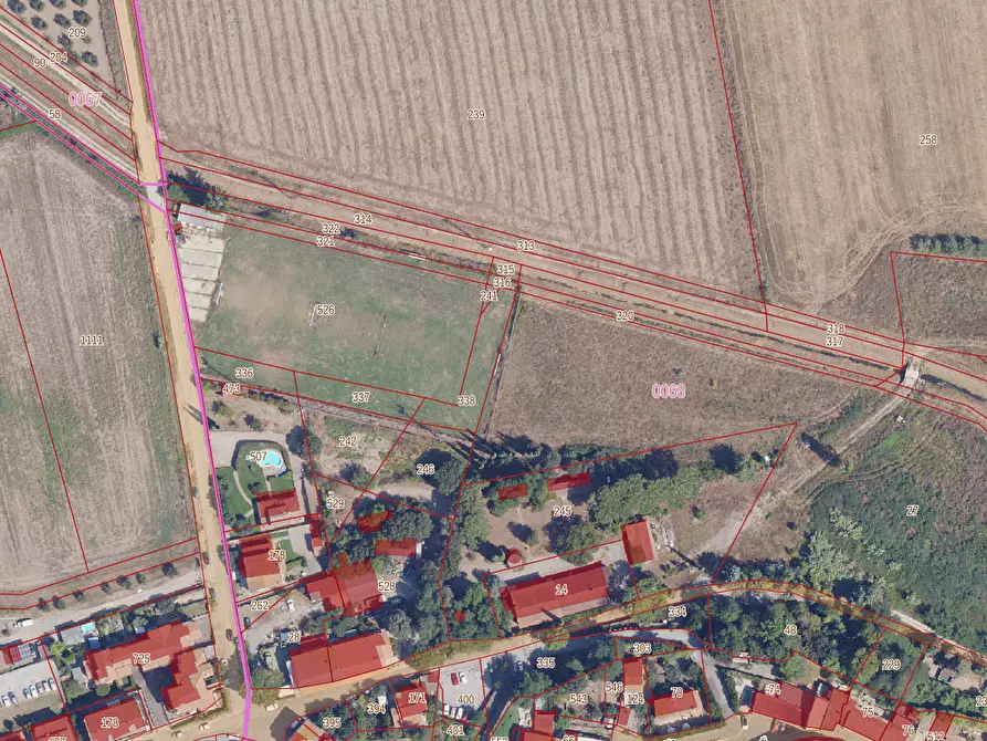 Immagine 2 di Terreno agricolo in vendita  a Grosseto