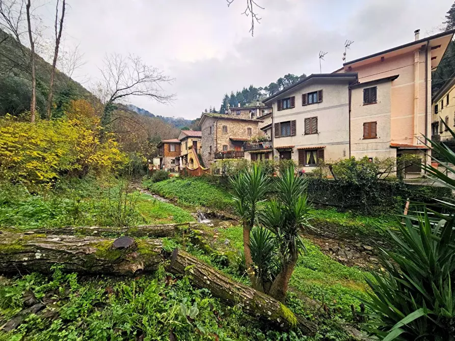Immagine 21 di Terratetto in vendita  a Camaiore