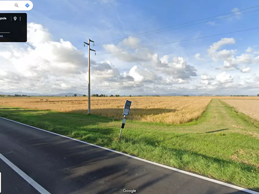 Immagine 1 di Terreno agricolo in vendita  a Grosseto