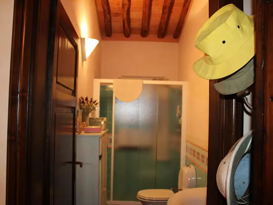 Immagine 58 di Casa colonica in vendita  a Crespina Lorenzana