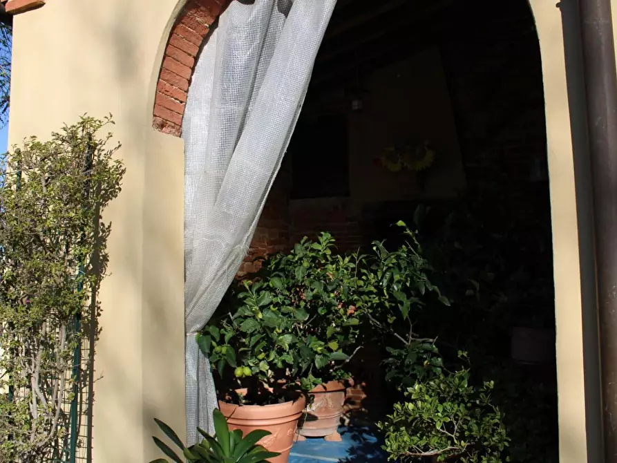 Immagine 78 di Casa colonica in vendita  a Crespina Lorenzana