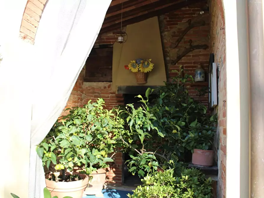 Immagine 43 di Casa colonica in vendita  a Crespina Lorenzana
