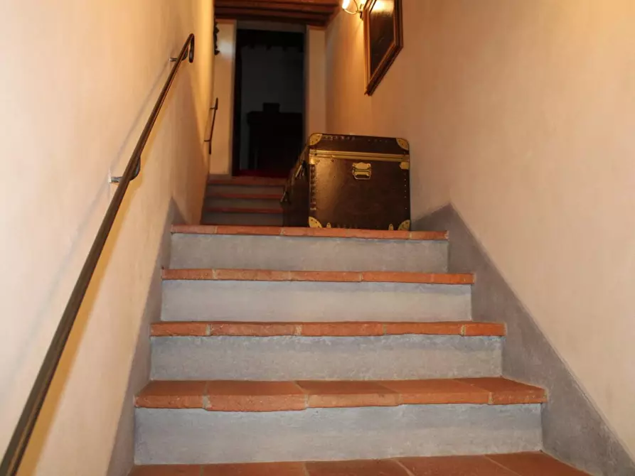 Immagine 32 di Casa colonica in vendita  a Crespina Lorenzana