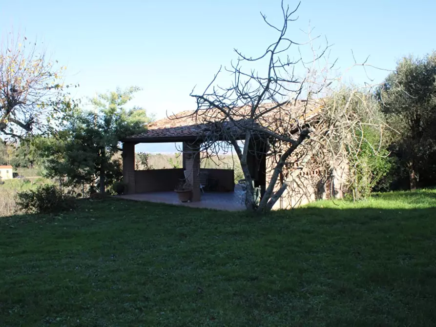 Immagine 85 di Casa colonica in vendita  a Crespina Lorenzana