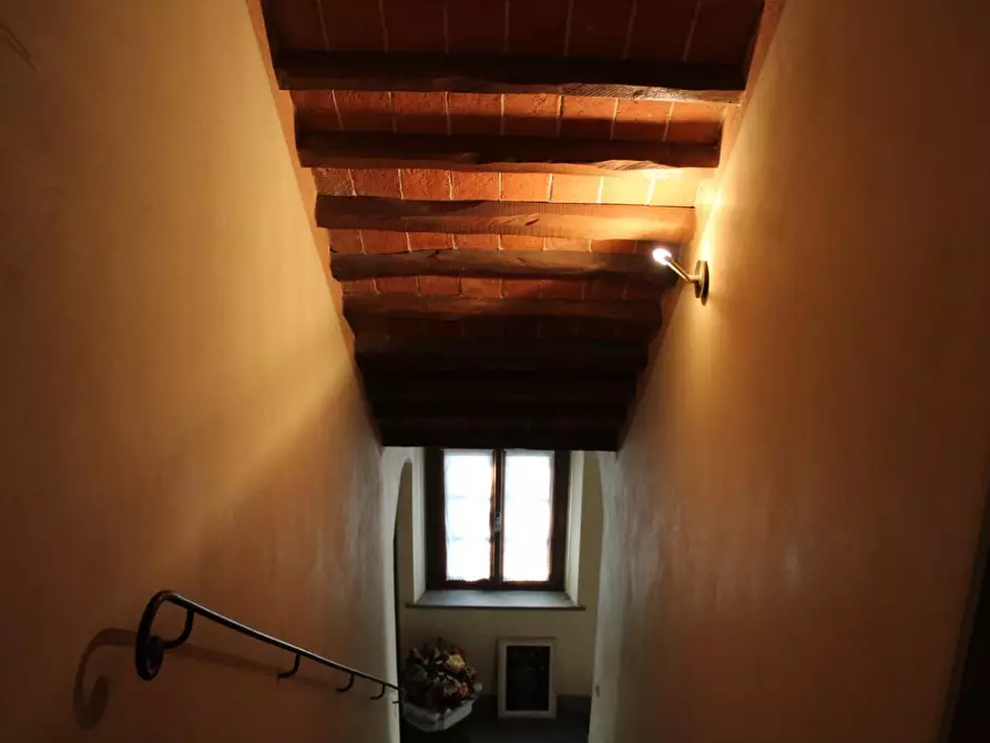 Immagine 55 di Casa colonica in vendita  a Crespina Lorenzana