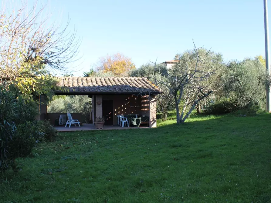 Immagine 84 di Casa colonica in vendita  a Crespina Lorenzana