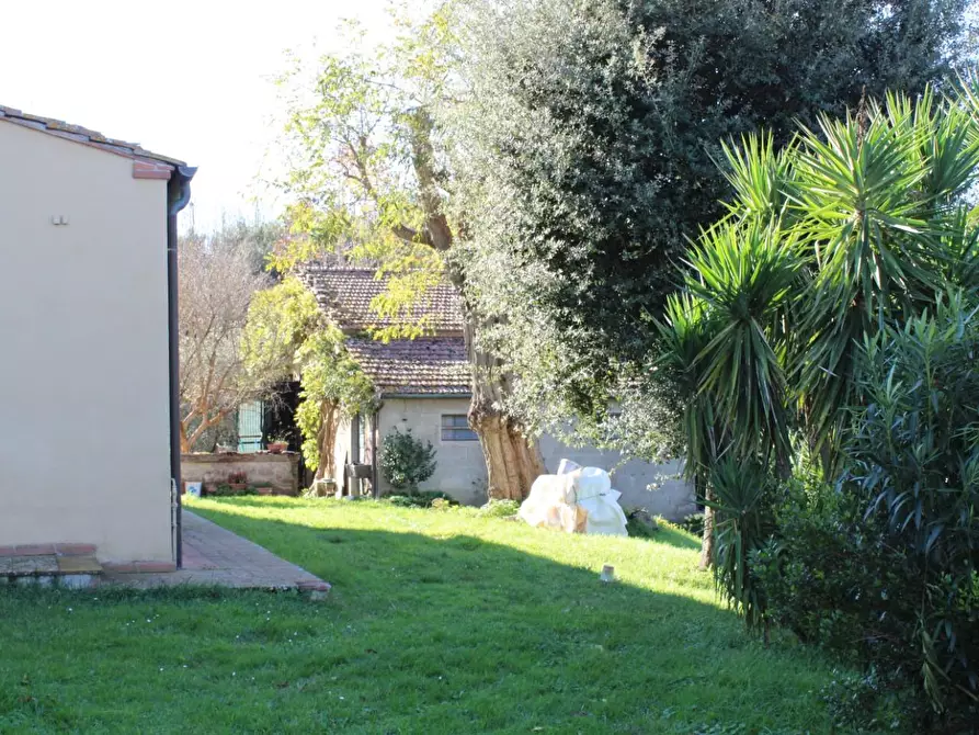 Immagine 46 di Casa colonica in vendita  a Crespina Lorenzana