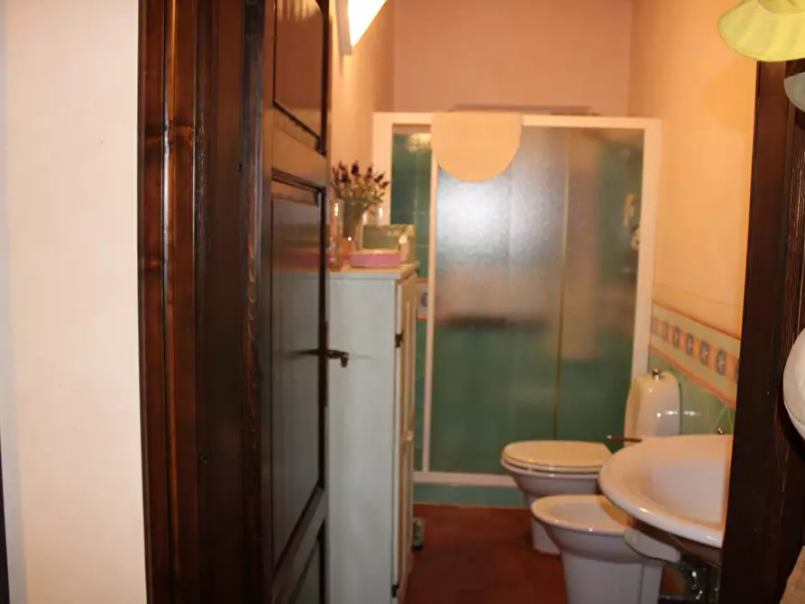 Immagine 59 di Casa colonica in vendita  a Crespina Lorenzana